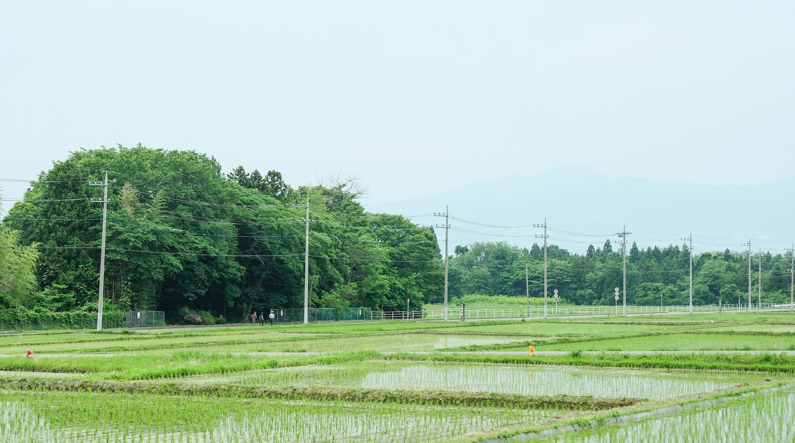 関わる人とくらしをつくる