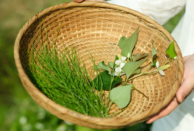 漢方・薬膳ワークショップ